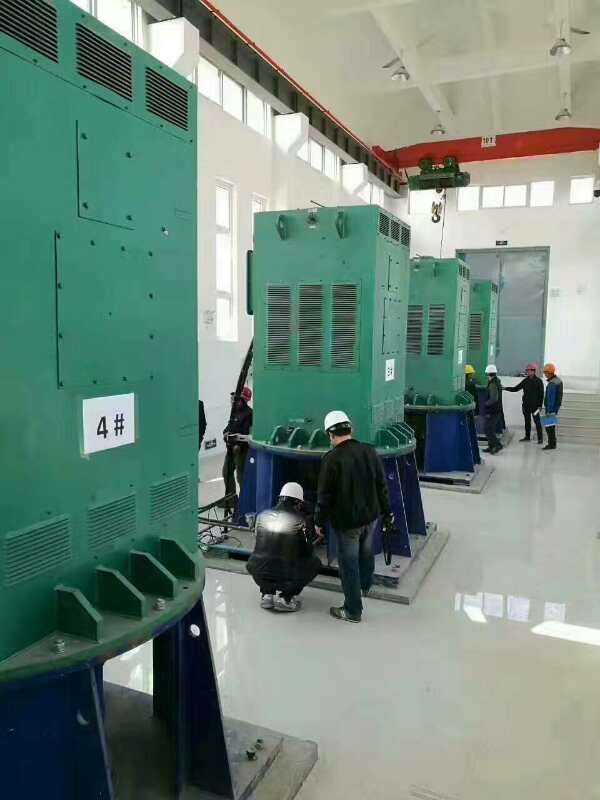 江孜某污水处理厂使用我厂的立式高压电机安装现场